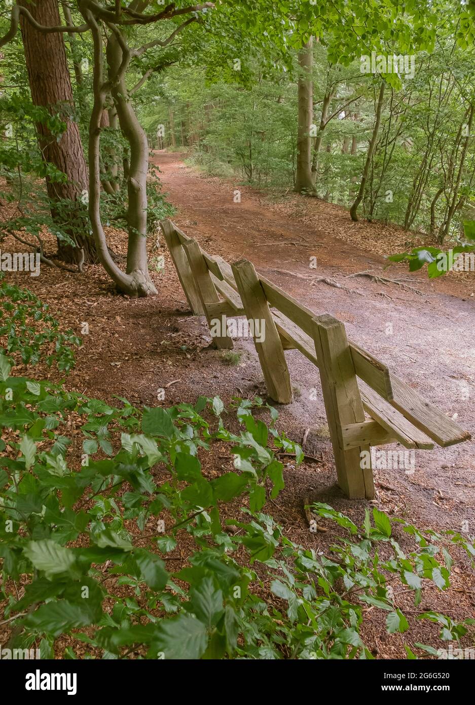 wooden bench at the Schaalse, Lauenburg Lakes Nature Park, Germany, Mecklenburg-Western Pomerania, Seedorf, Klein Zecher Stock Photo