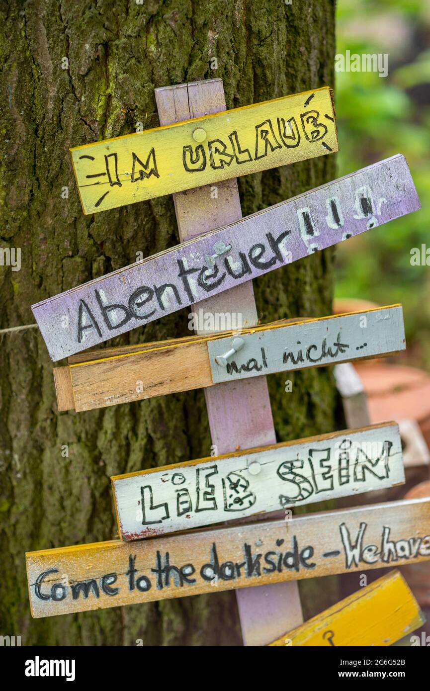 oak at a street with selfmade signs in Ottensen, street art, Germany, Hamburg Stock Photo