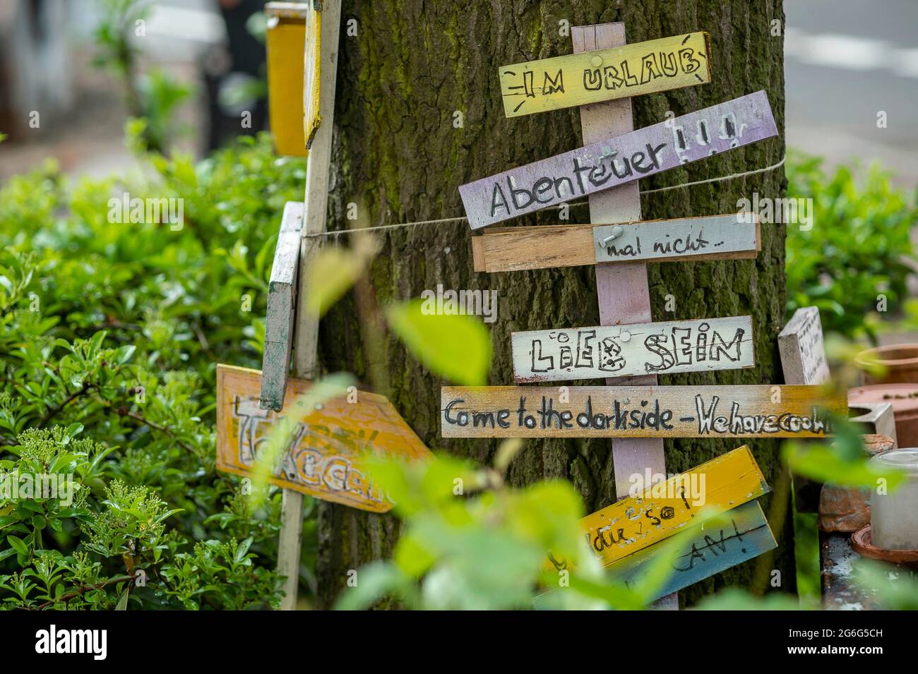 oak at a street with selfmade signs in Ottensen, street art, Germany, Hamburg Stock Photo