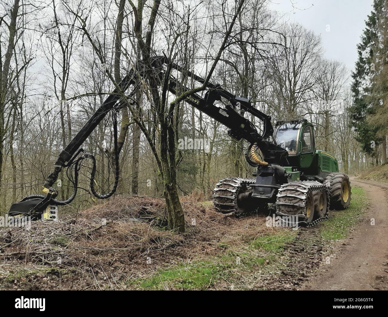 Harvester in the forest, Germany Stock Photo