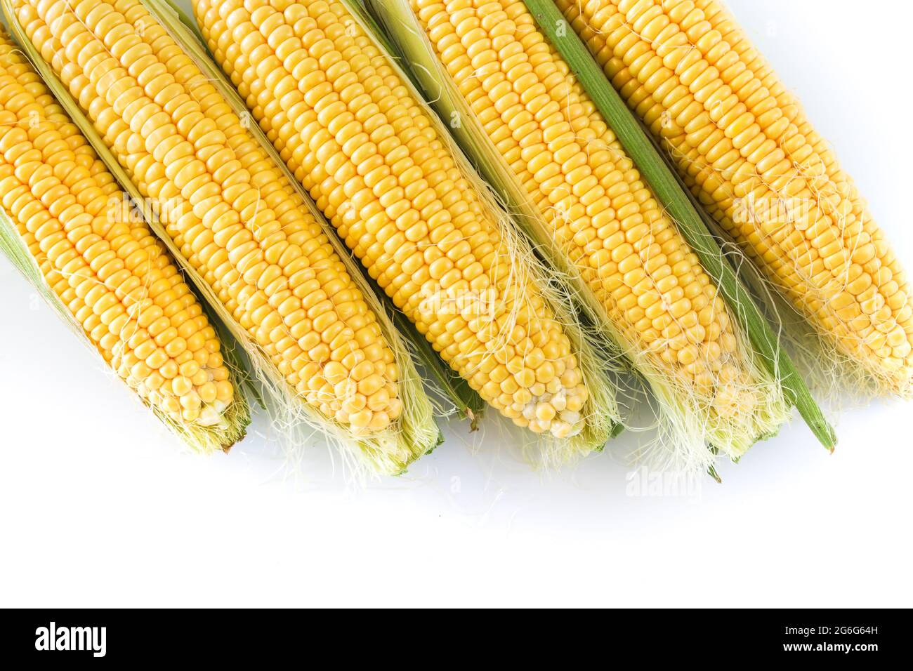 Yellow fresh raw corn plant on white background, top view, copy space, food concept. Stock Photo