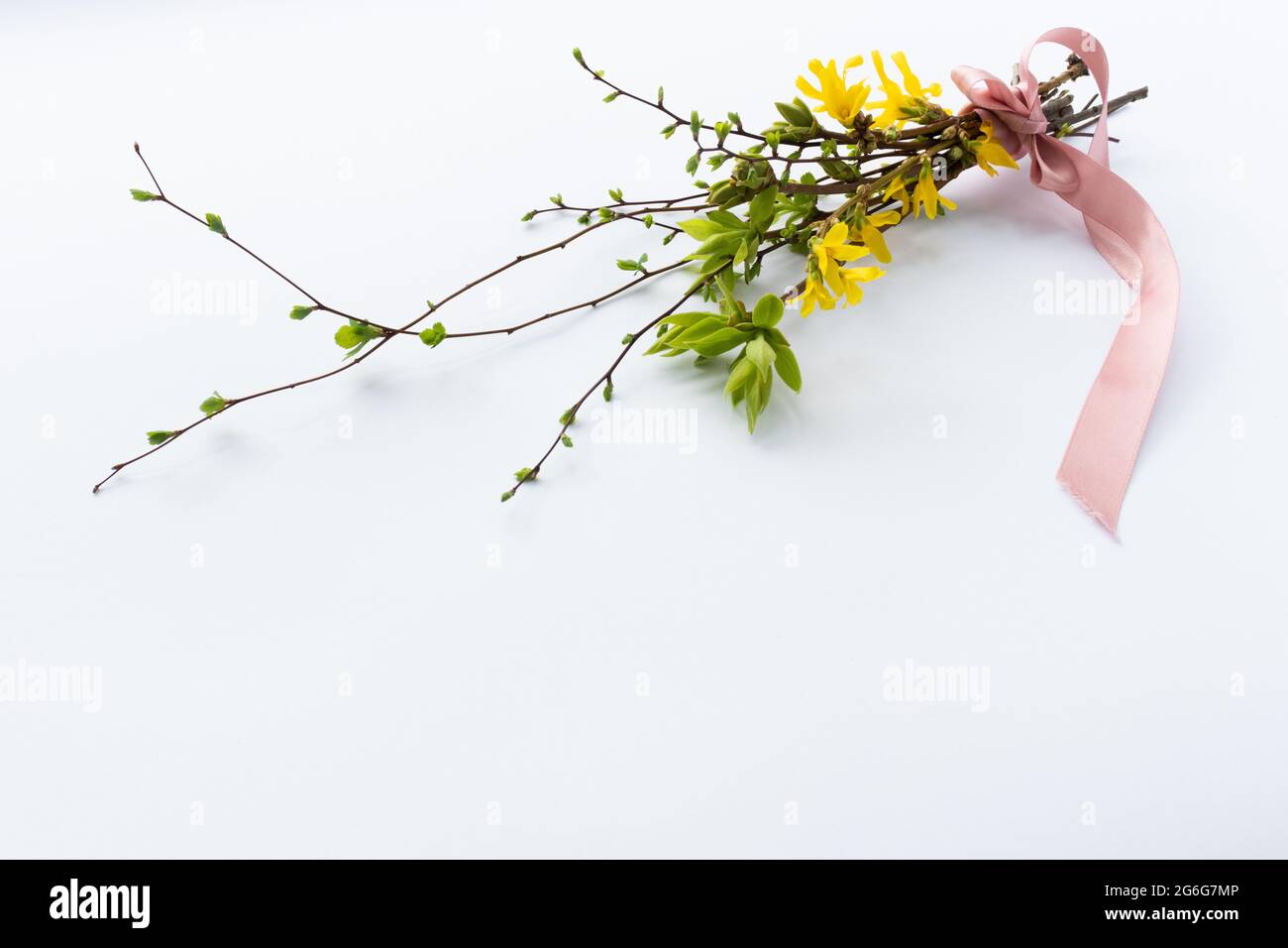 Spring bouquet of twigs with first leaves and flowers Stock Photo - Alamy