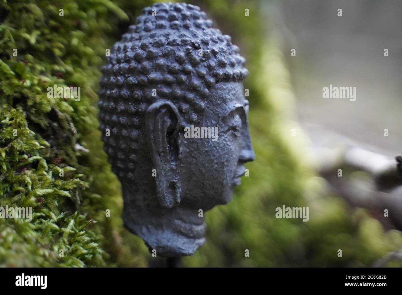 Buddha statue standing in the forest oozside with mossy background Stock Photo