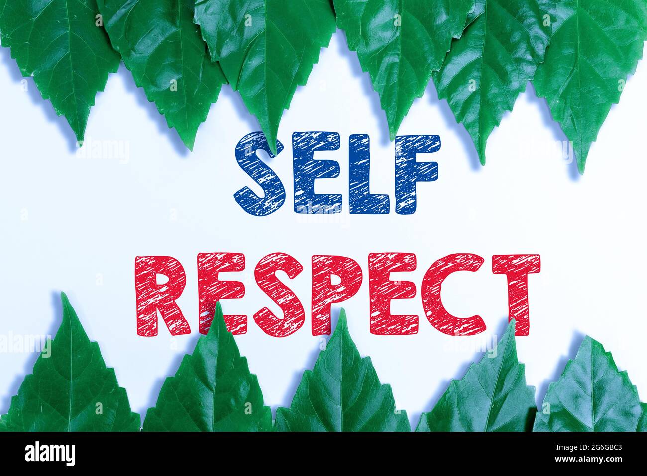 Writing displaying text Self Respect. Business approach Pride and confidence in oneself Stand up for yourself Saving Environment Ideas And Plans Stock Photo