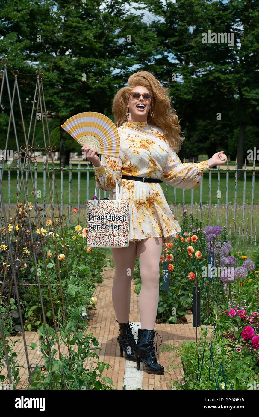 Drag queen daisy hires stock photography and images Alamy