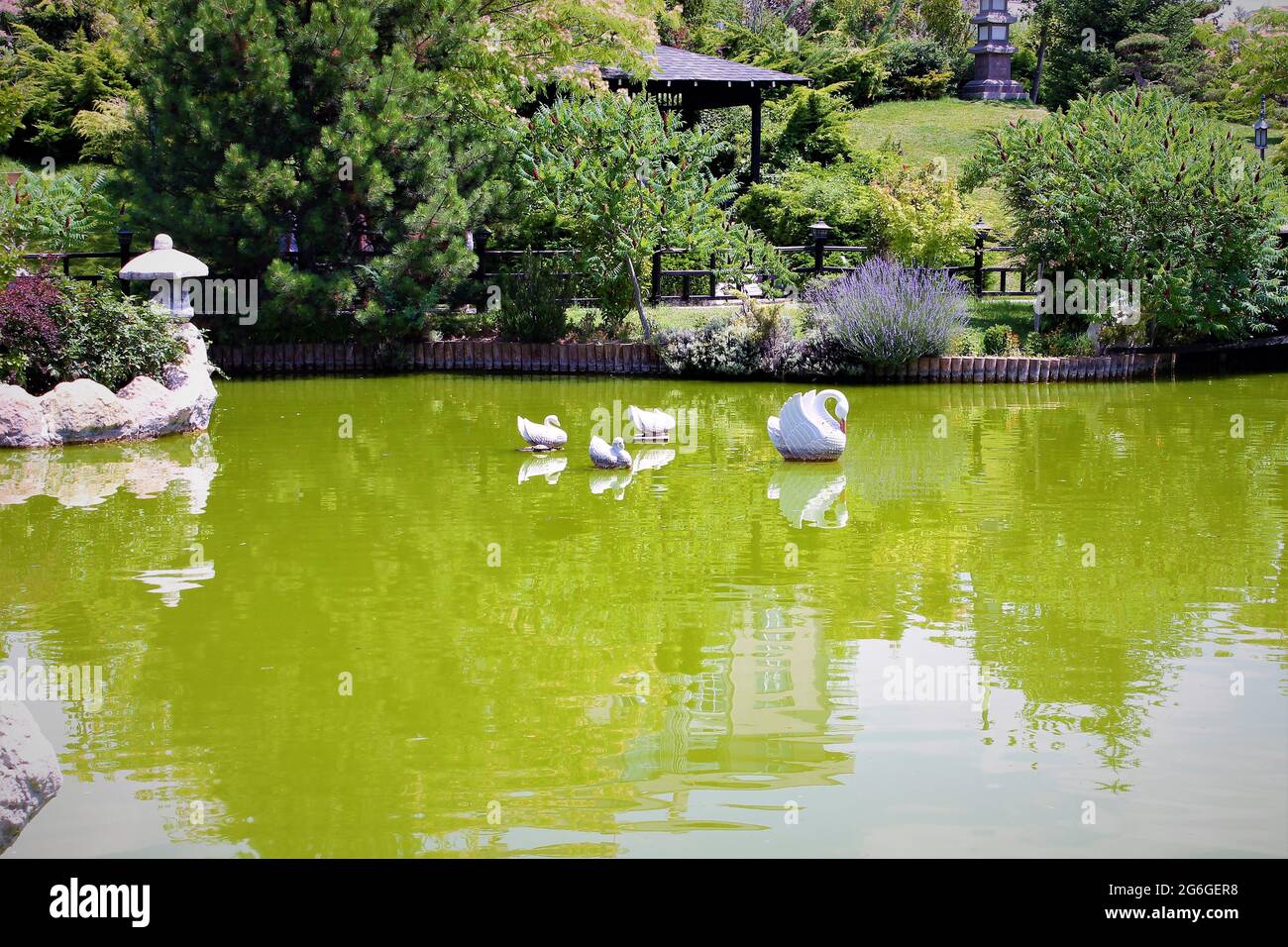 Japanese Reflection Pool Japanese garden and reflections in the pool Stock Photo - Alamy