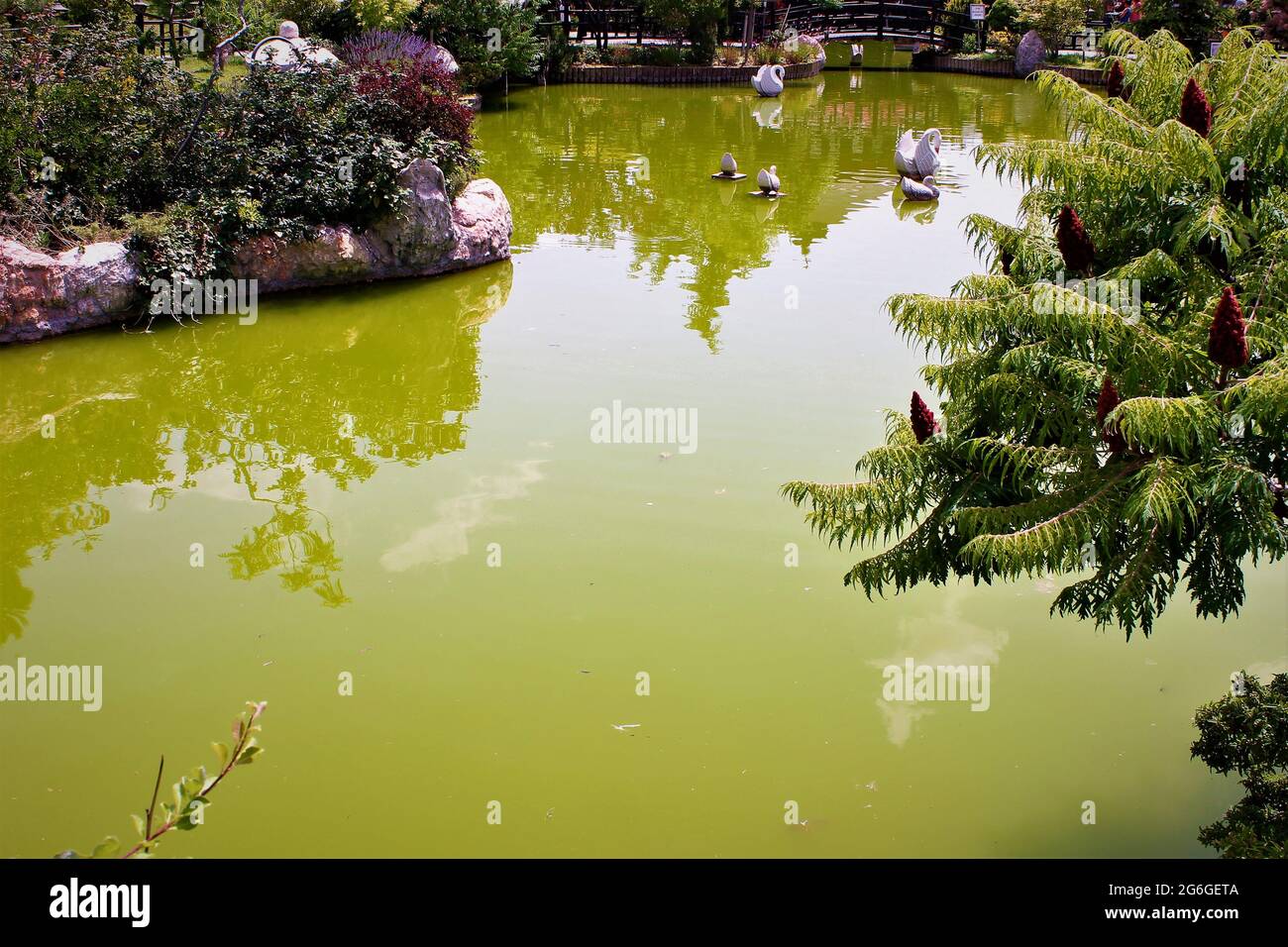 Japanese Reflection Pool Japanese garden and reflections in the pool Stock Photo - Alamy