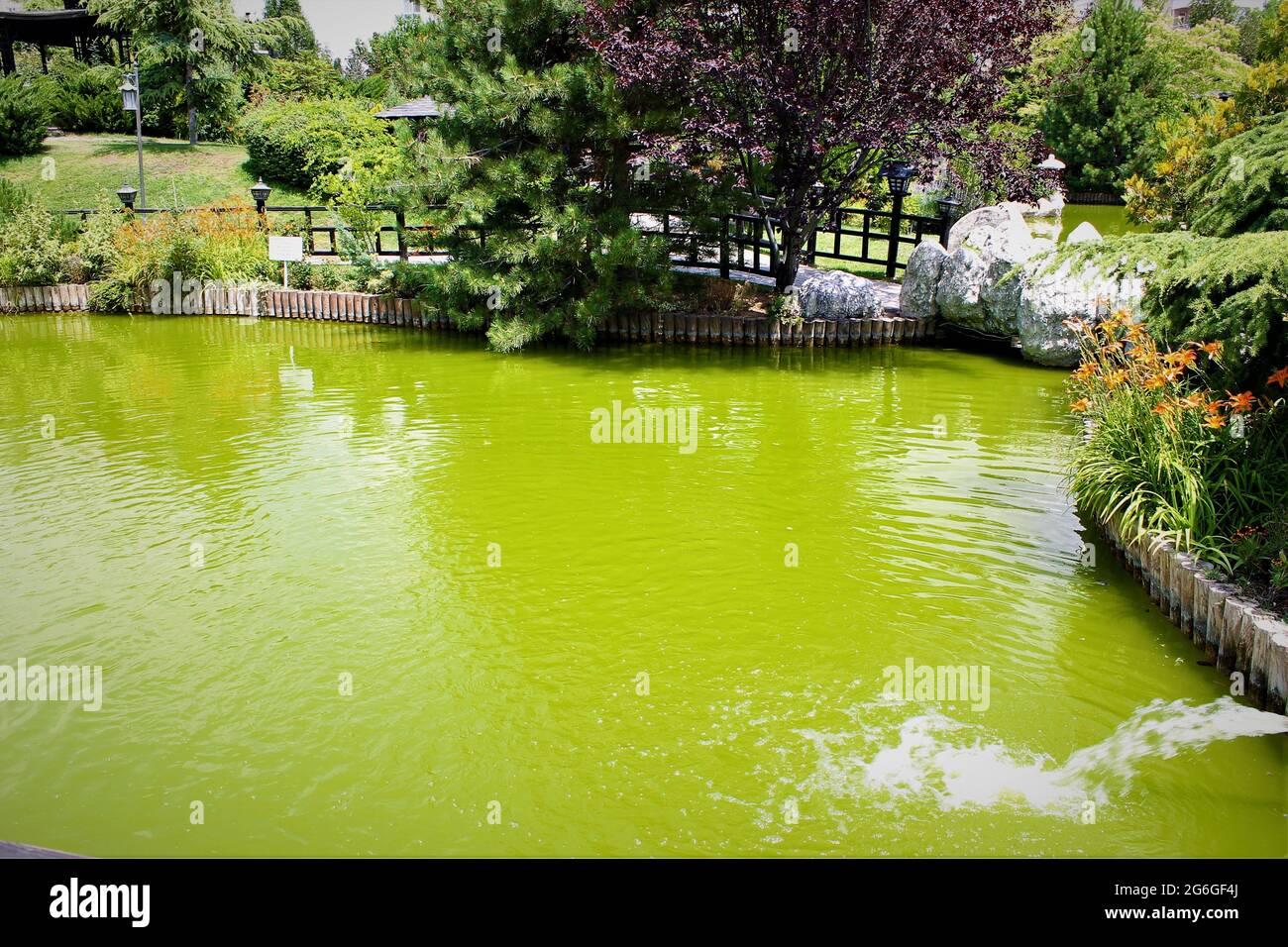 Japanese Reflection Pool Japanese garden and reflections in the pool Stock Photo - Alamy