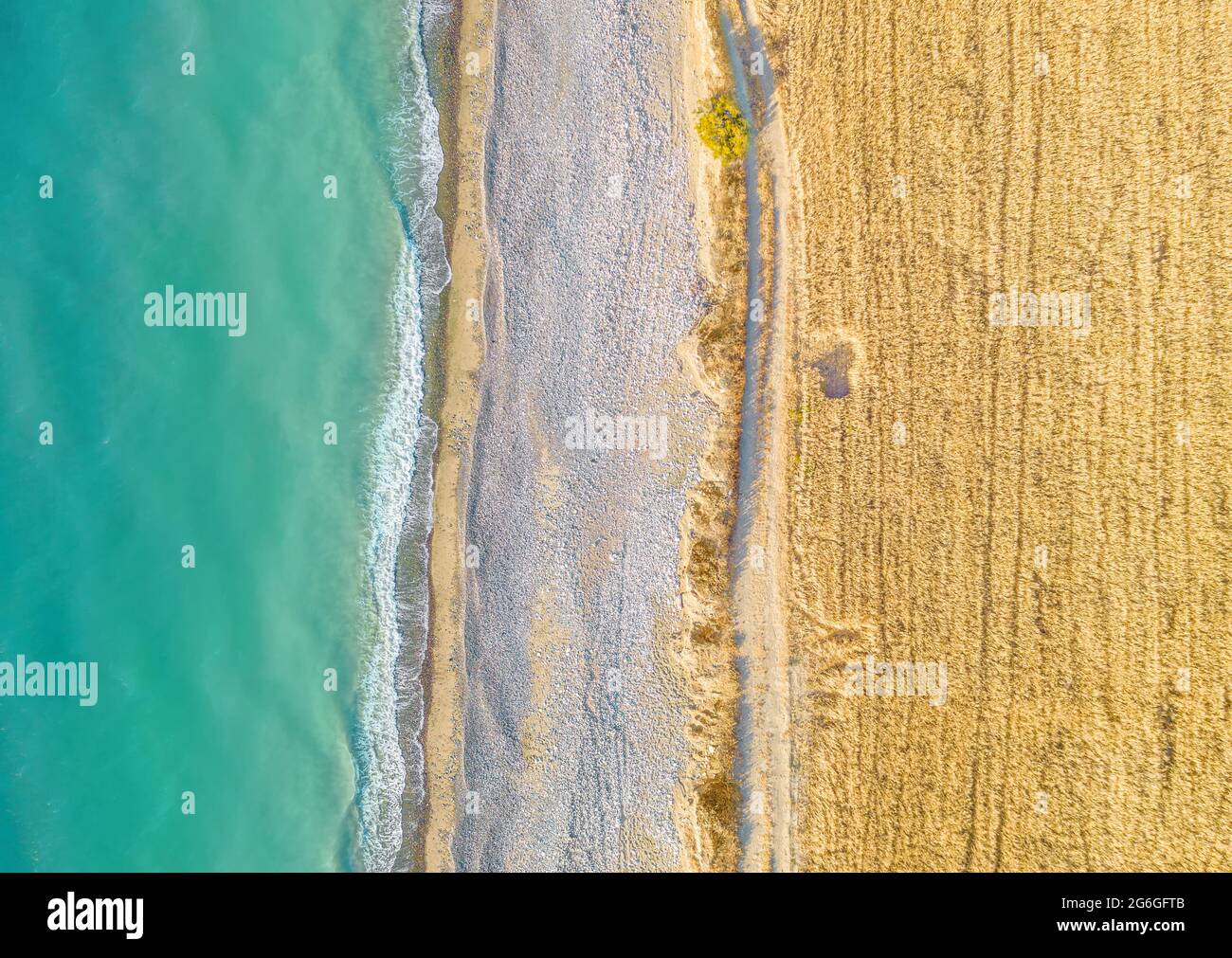 Wheat field and unpaved road along sand beach, top view directly above Stock Photo