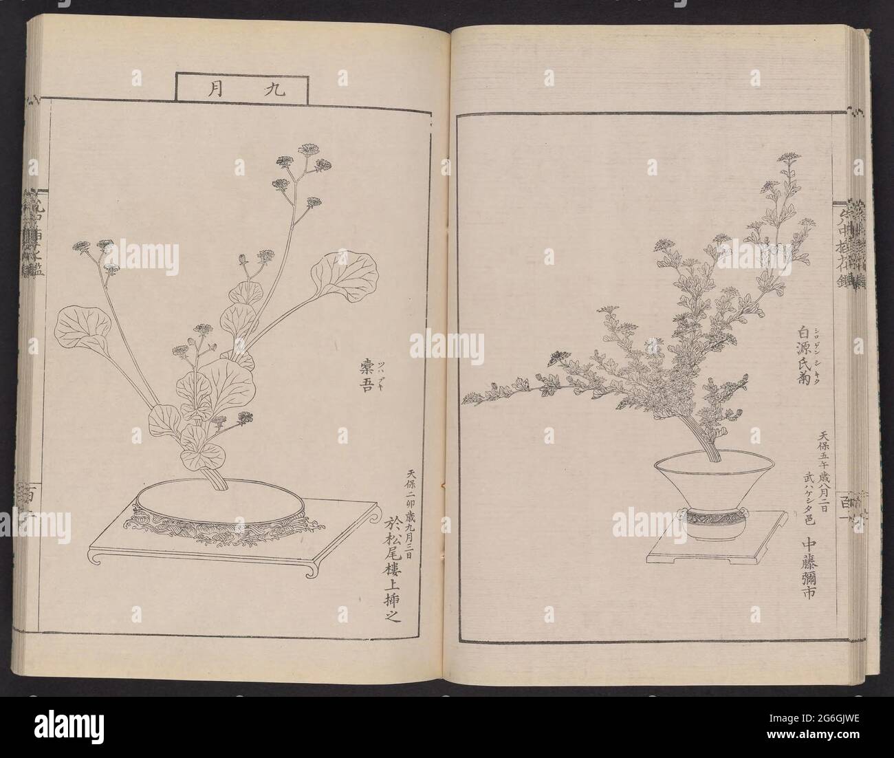 Inchu Ryu Sōka Kagami Tokyo Kyukodō Meiji Period 1868 1912 Stock Photo Alamy