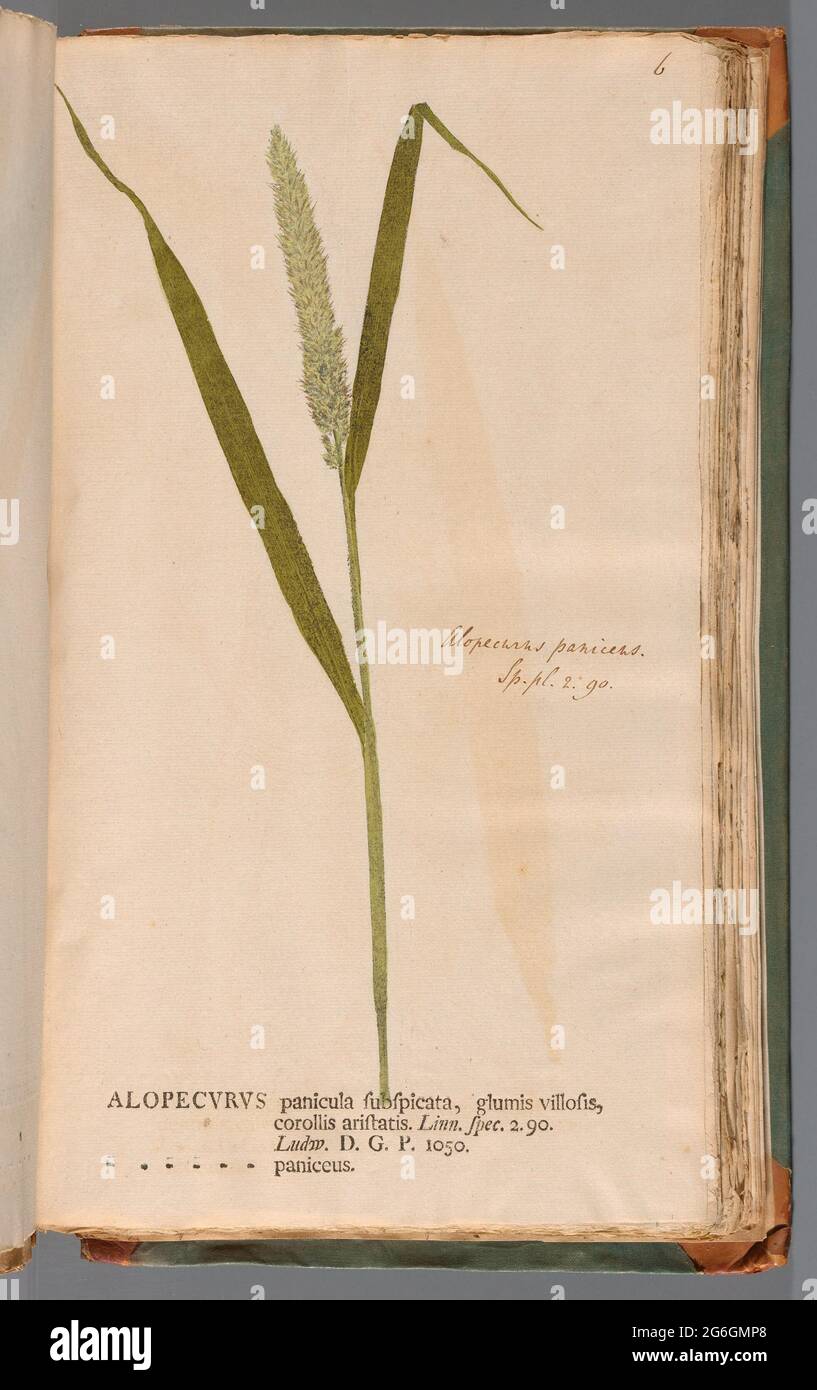 Io Hieron Kniphofii Pathol And Prax In Cad Erfurt Prof Publ Orders Fac Med Older And Adsess Primar Acad Caesar Nat Curiosor Bond And The Librarian Botaniea The Original Or Herbarium Living