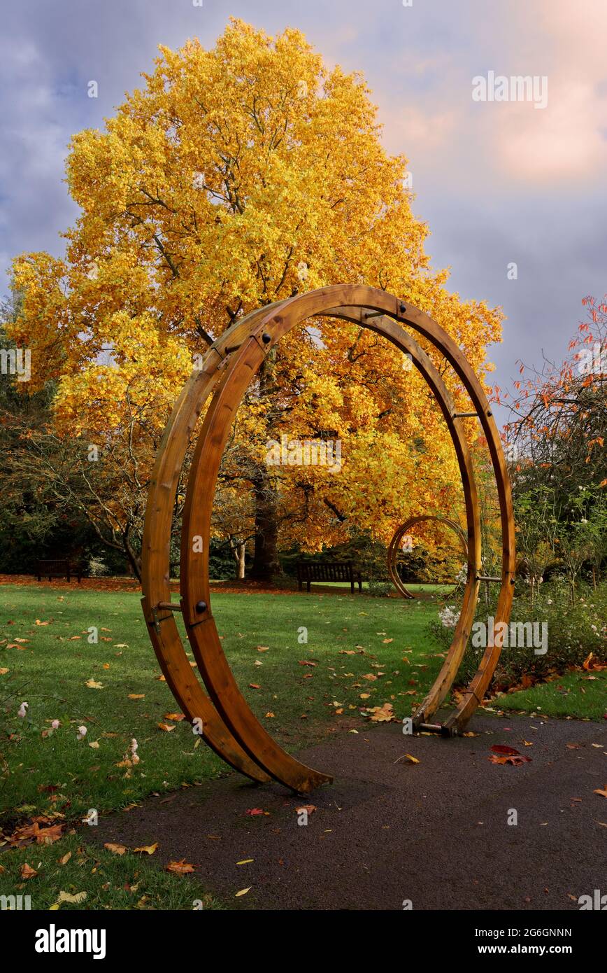 autumnal in bath botanical gardens Stock Photo - Alamy