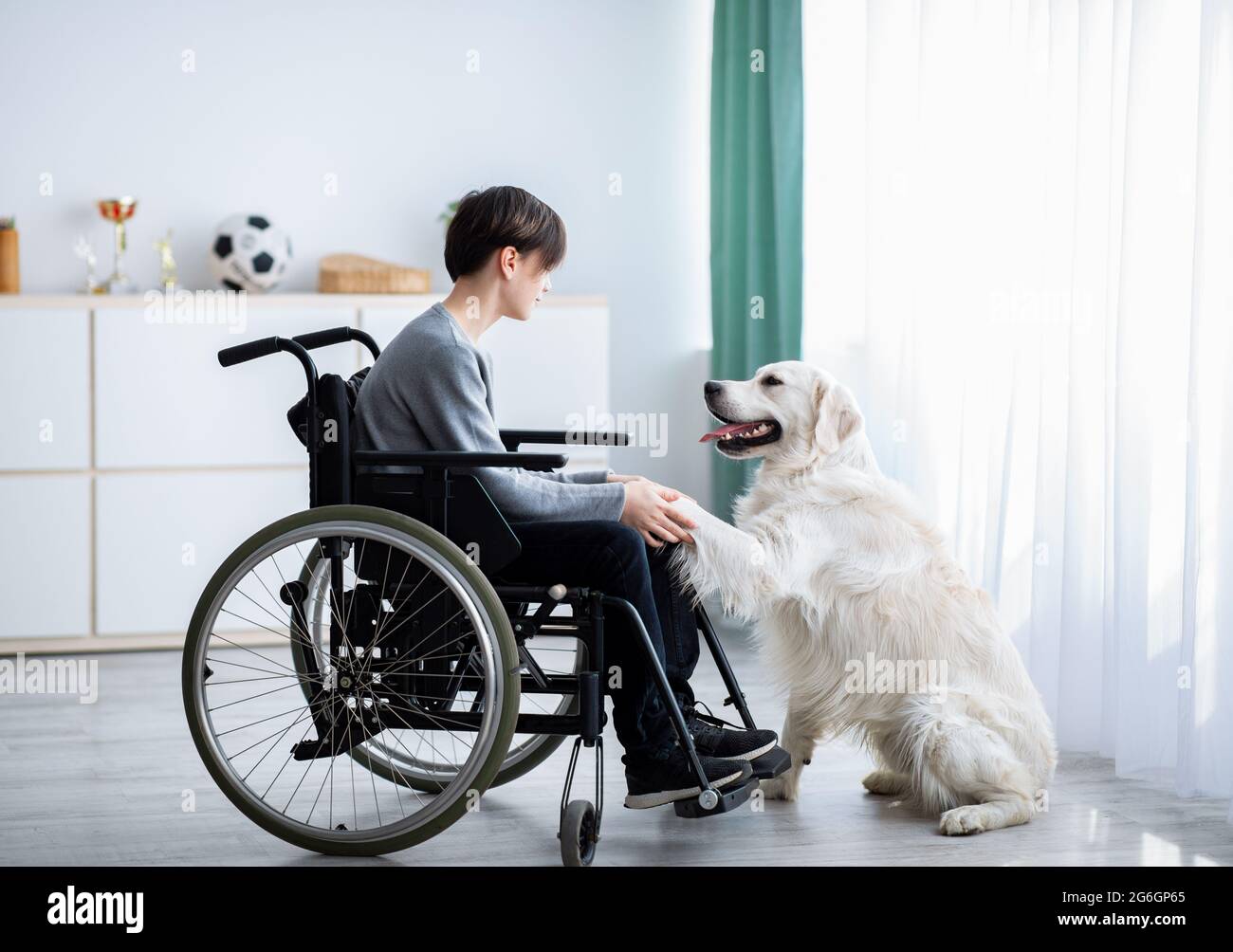 Positive handicapped teenager playing with his dog, holding its paw at home, full length Stock Photo