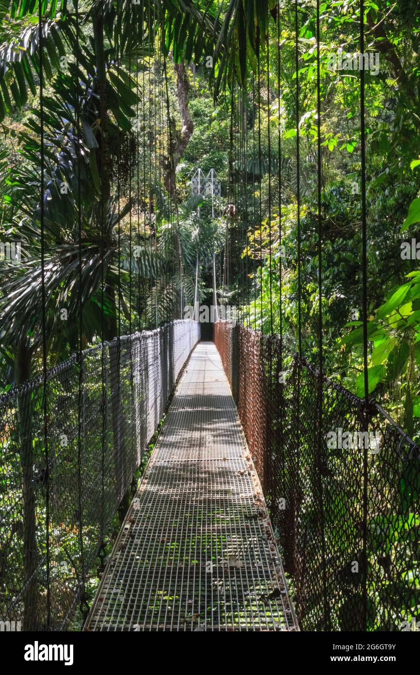 Hanging bridge, Monteverde Cloud Forest Biological Reserve, Costa Rica Stock Photo