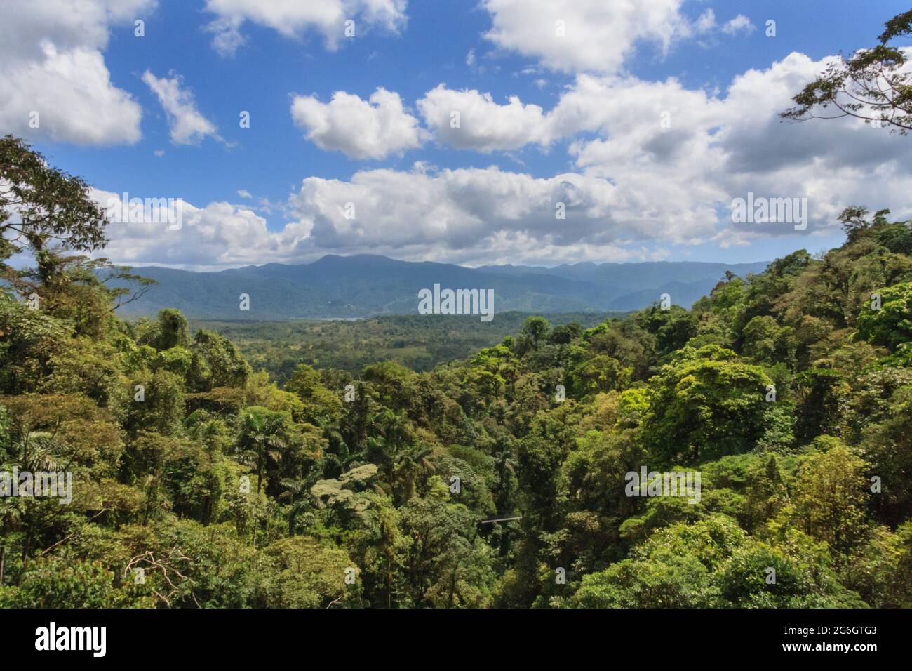 Panoramic view over Monteverde Cloud Forest Biological Reserve, Costa Rica Stock Photo