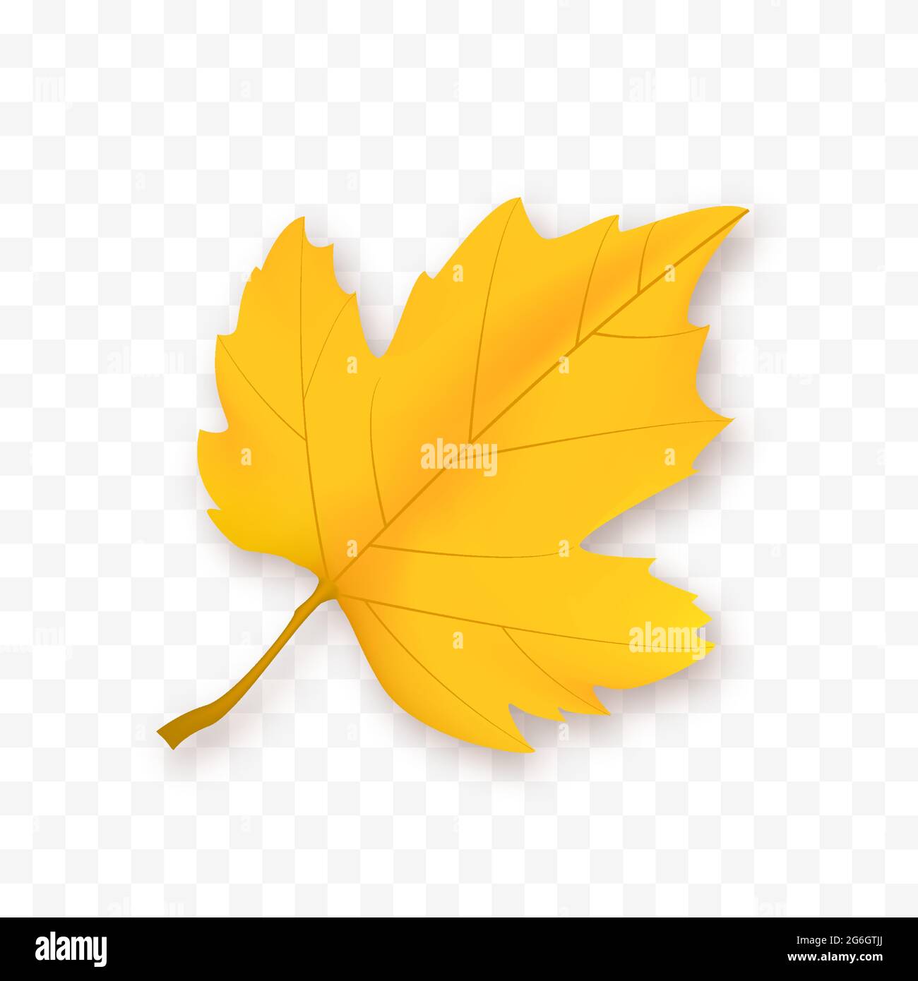 Autumn Leaf Isolated on white background. Vector Yellow leaf Stock ...