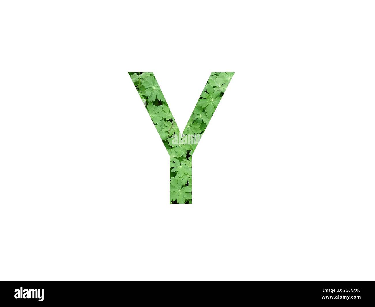 Y logo hi-res stock photography and images - Alamy