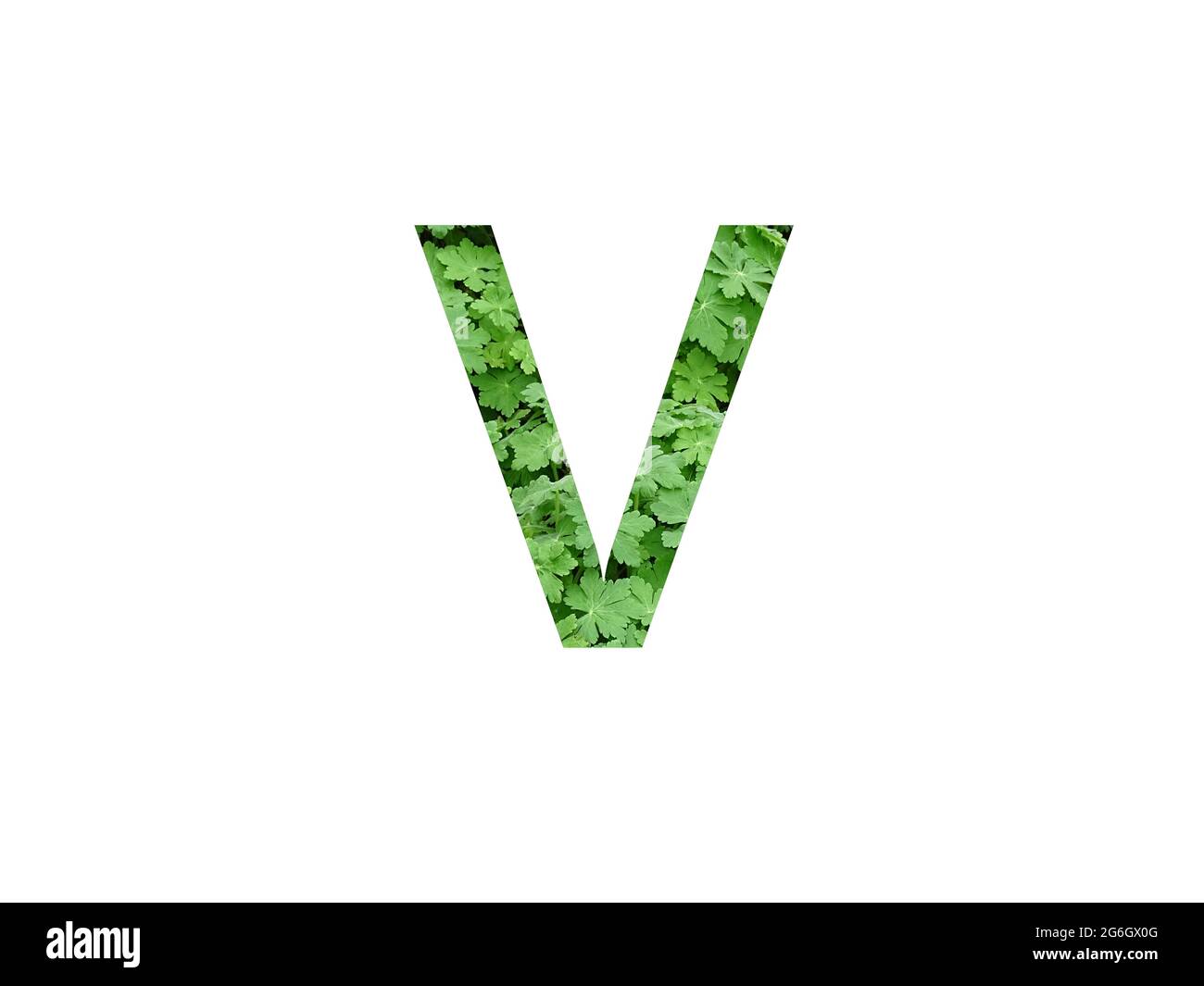 Floral Font Letter V High Resolution Stock Photography And Images Alamy