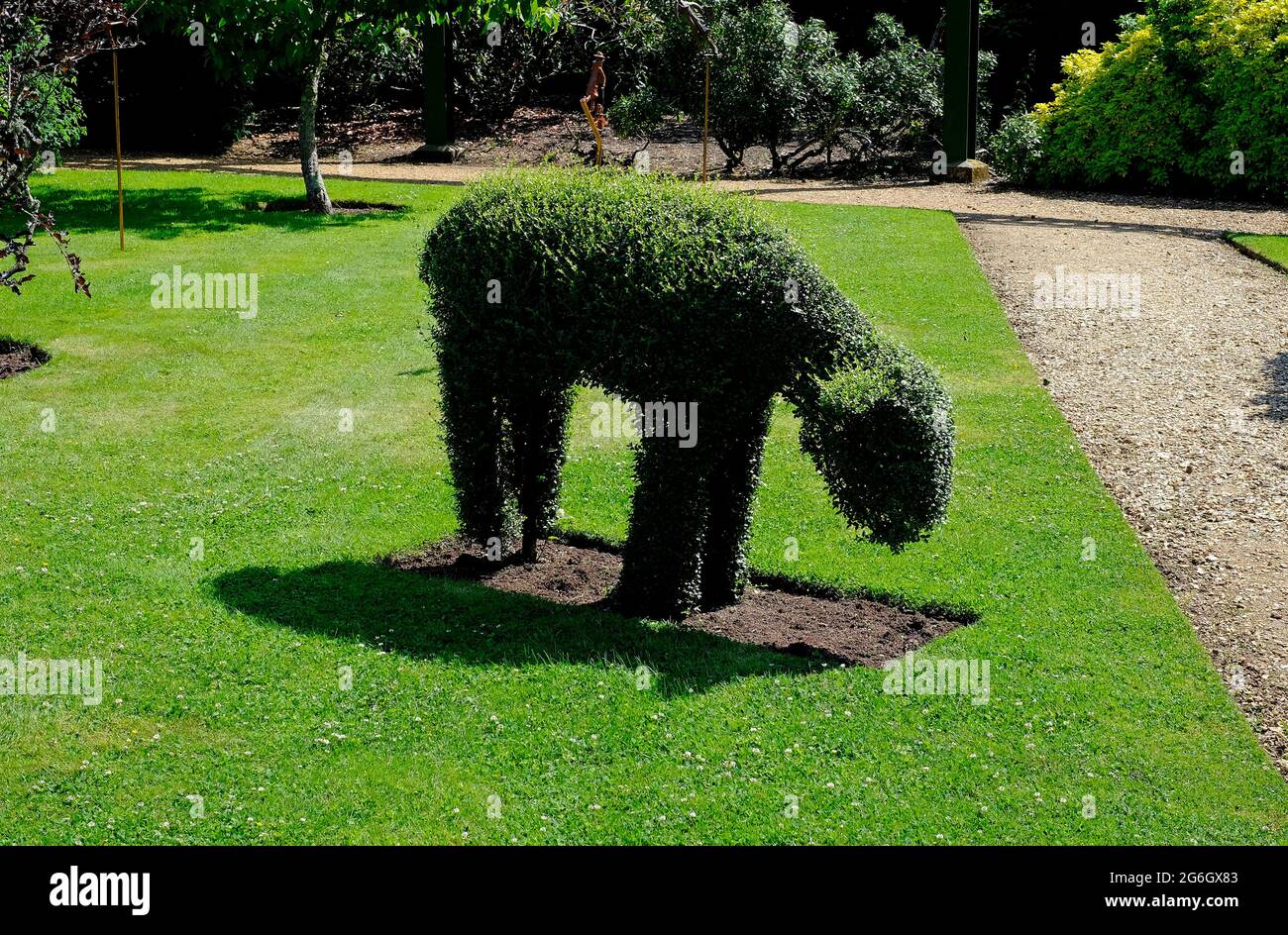 trimmed topiary sheep in beaulieu gardens, hampshire, england Stock Photo
