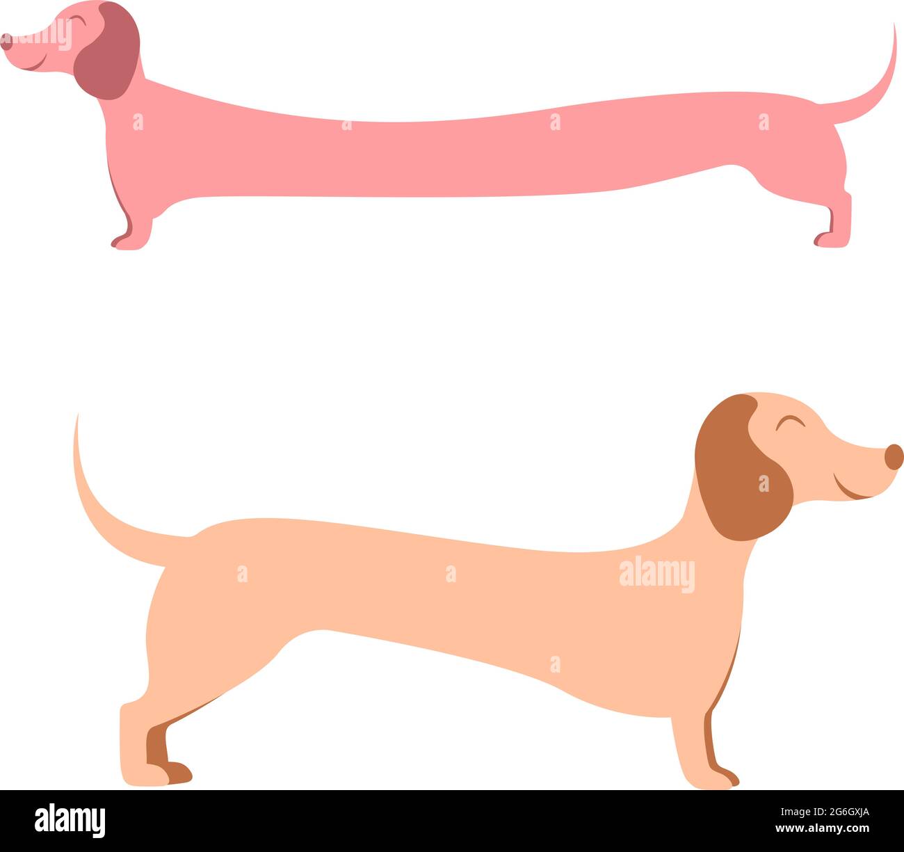 dachshund, wiener dog on white background vector illustration Stock Vector