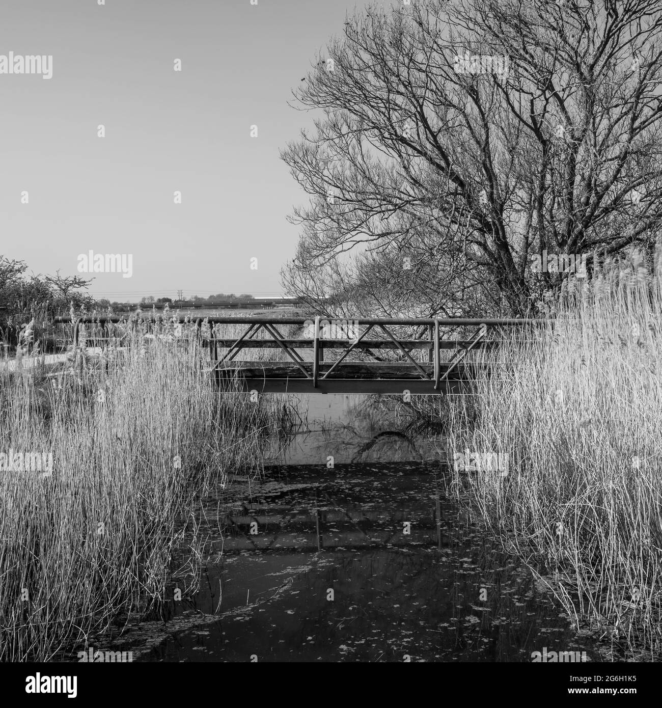 No angling Black and White Stock Photos & Images - Alamy