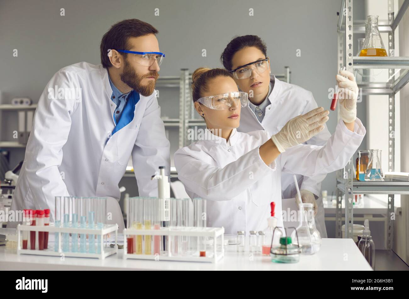 Young scientists look at a test tube with a red substance in the laboratory. Stock Photo