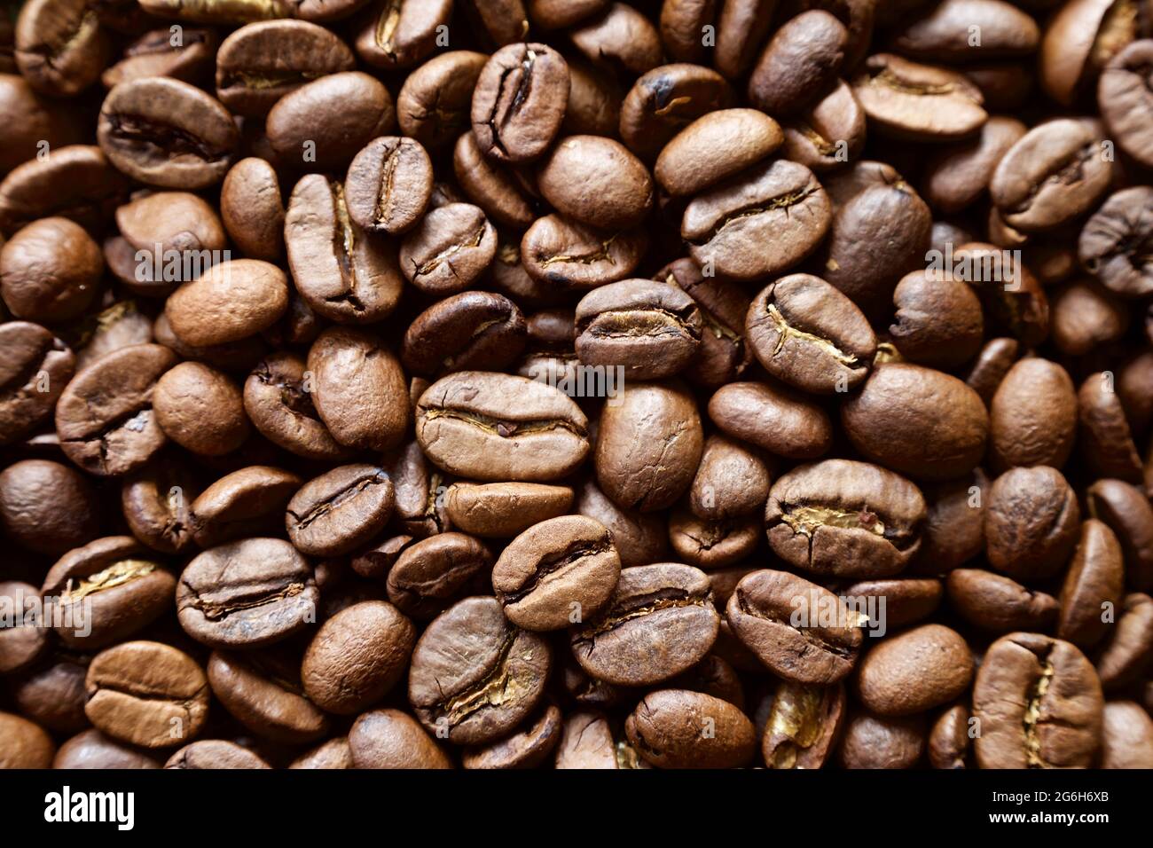 Roasted coffee beans ready for grinding Stock Photo Alamy