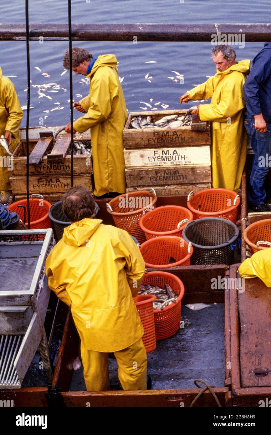 Fishing boats at Seahouses Harbour in 1984 Stock Photo - Alamy