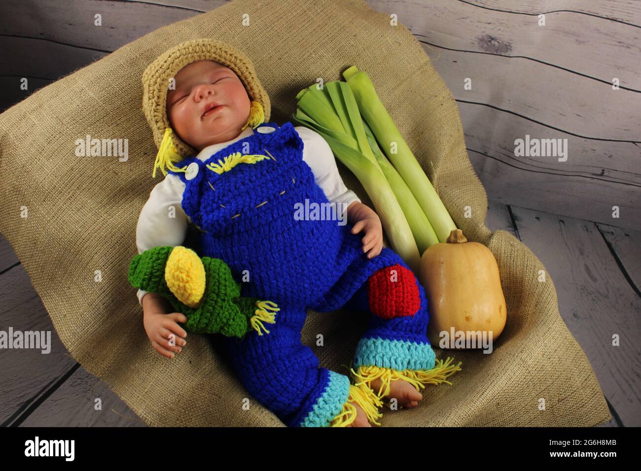 Sleeping baby wearing knitted dungarees asleep on hessian sack surrounded by autumn harvest. Baby farmer concept represented by a reborn doll: Stock Photo