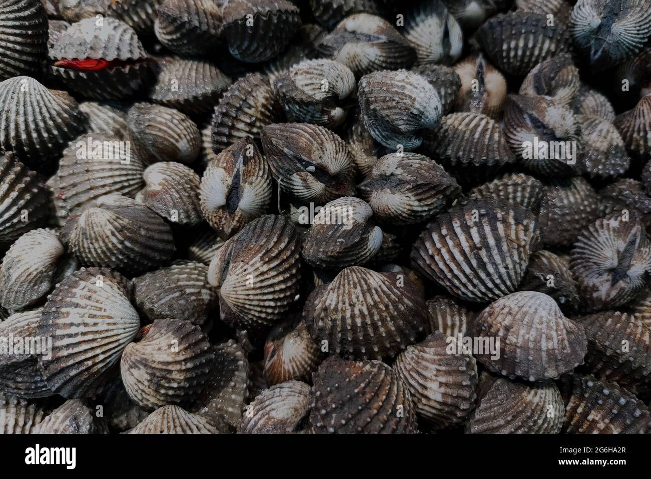 Top view group of of clamp Stock Photo Alamy