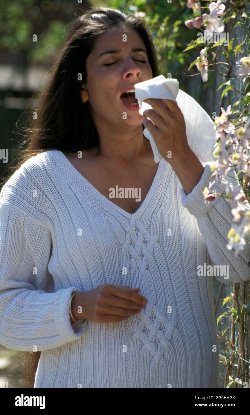 anglo-asian pregnant woman sneezing into a handkerchief Stock Photo