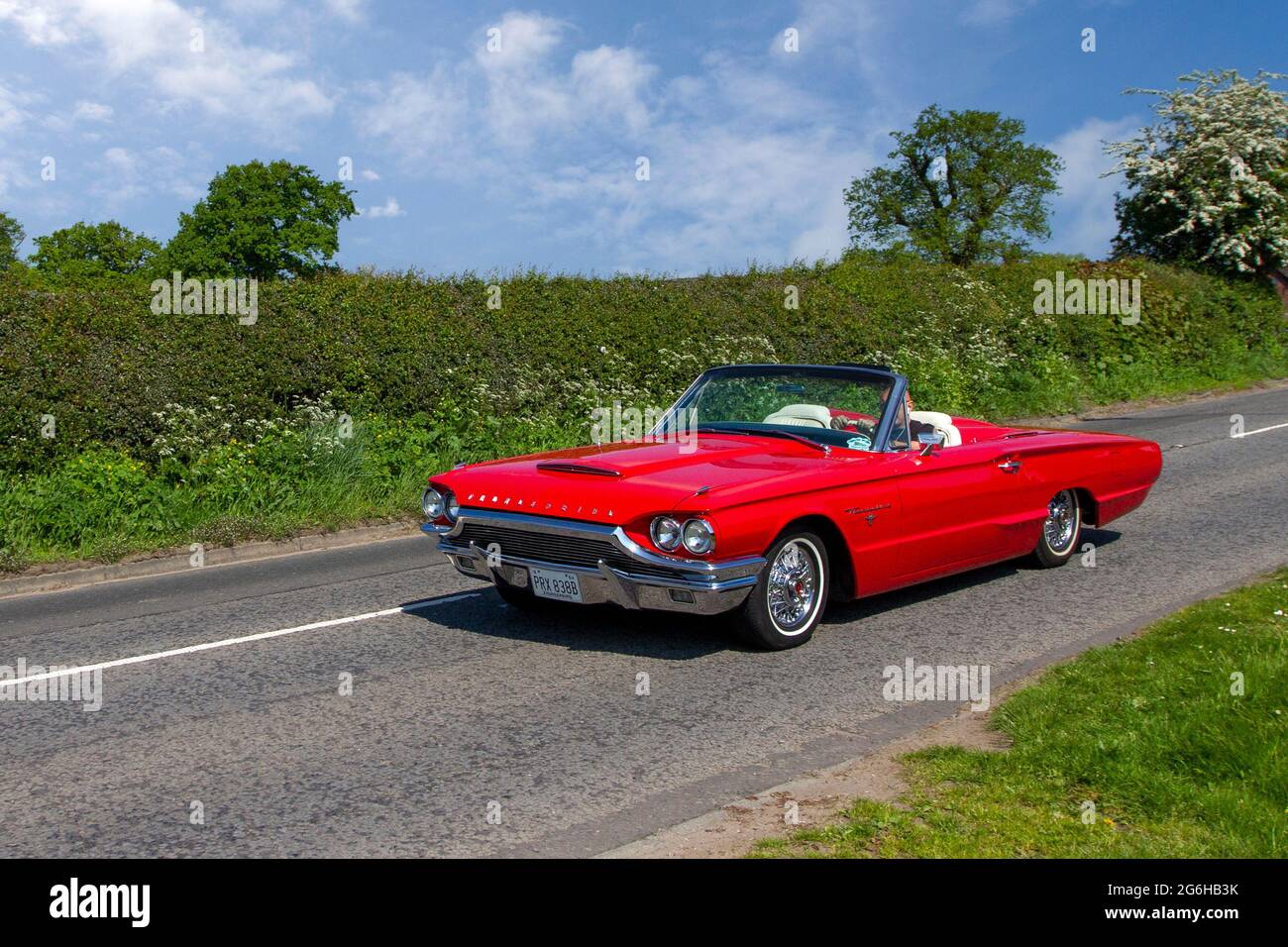 1964 60s American red Ford Thunderbird 6400cc petrol cabrio, en-route to Capesthorne Hall classic May car show, Cheshire, UK Stock Photo