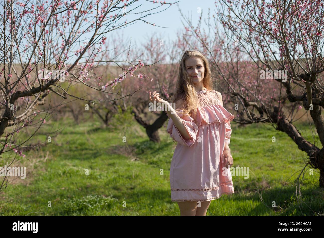 Beautiful blonde woman in pink dress in blossoming spring green garden Stock Photo