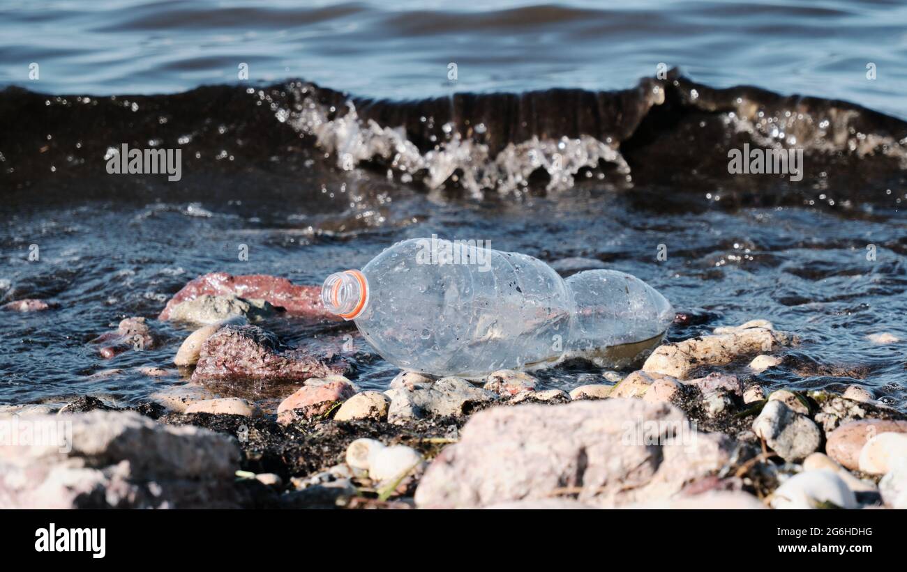 A plastic bottle floats in the water. The problem of pollution of the