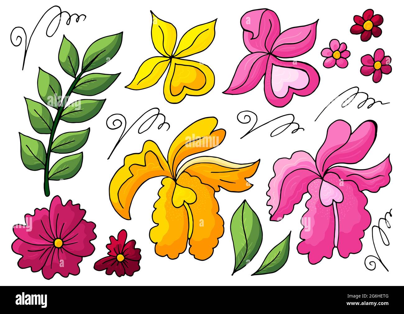 Collection of vector floral elements. Flowers and leaves in hand draw style. Elements for your design. Orchids, green leaves and curls Stock Vector