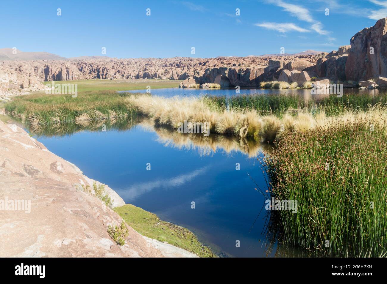 Laguna Negra lake in Bolivia Stock Photo Alamy