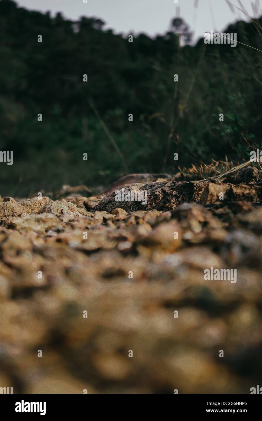 Take a close look at the rocks in nature Stock Photo - Alamy