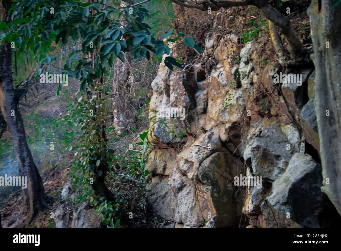 Take a close look at the rocks in nature Stock Photo - Alamy