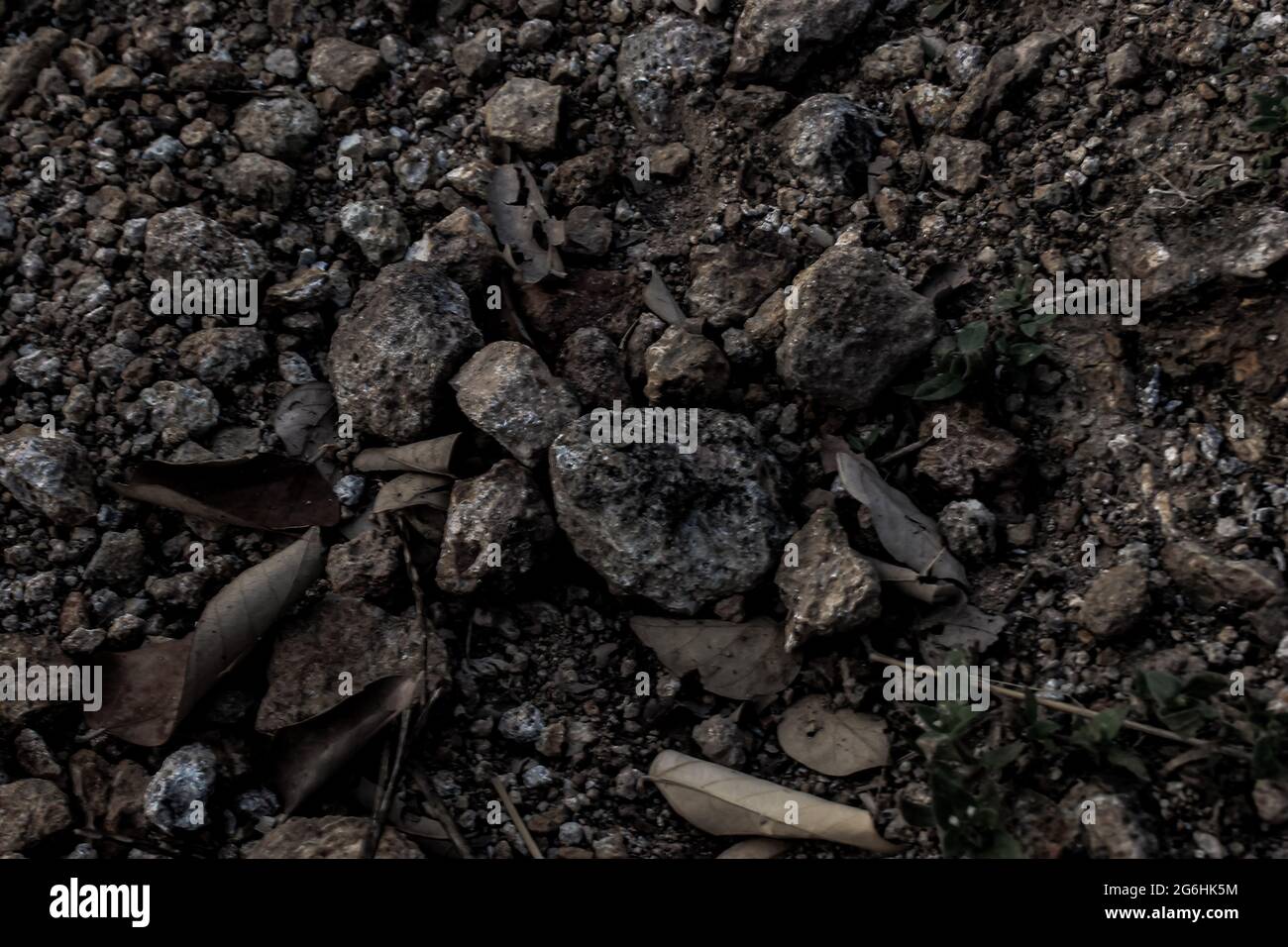 Take a close look at the rocks in nature Stock Photo - Alamy