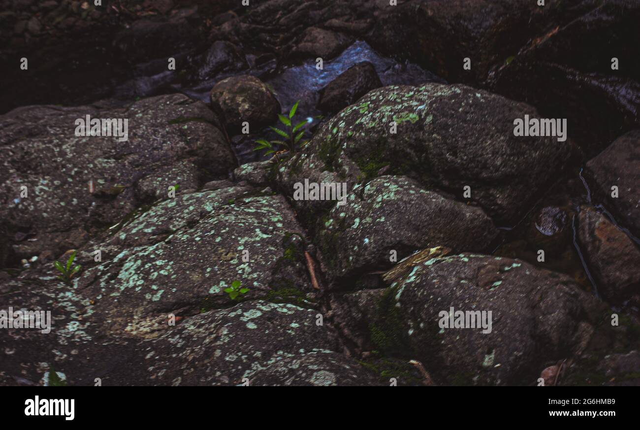 Look At Rocks Take a close look at the rocks in nature Stock Photo - Alamy