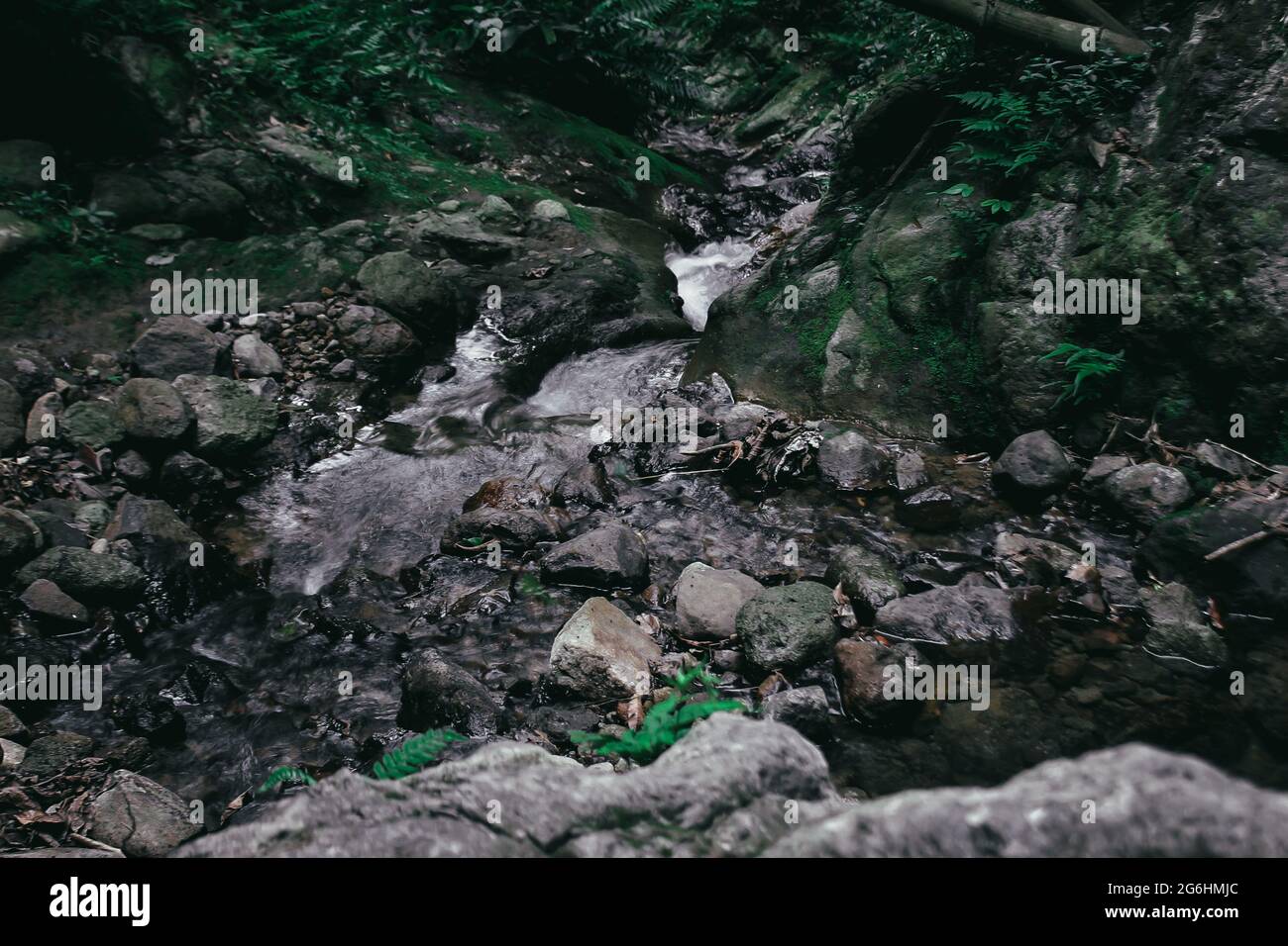 Take a close look at the rocks in nature Stock Photo - Alamy