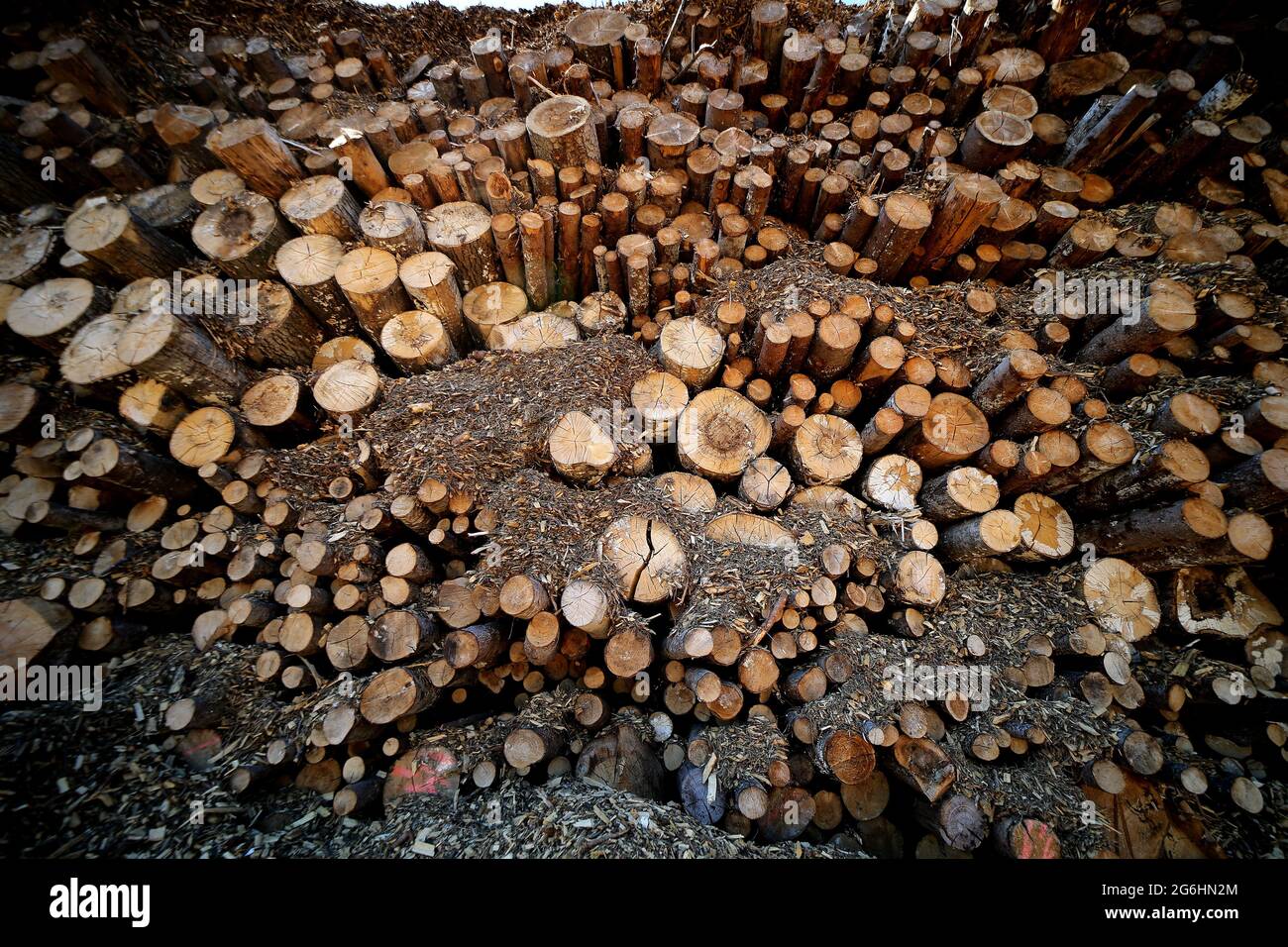 Pile or stack of natural fire wood logs texture background. Abstract ...