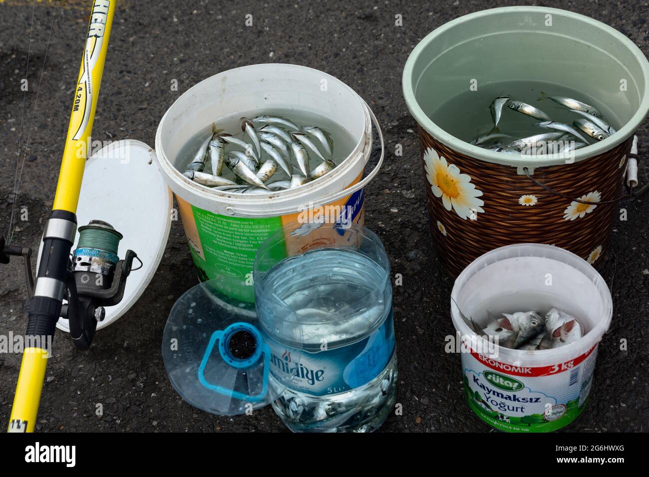 Dead small fishes collected in plastic buckets caught by anglers from Galata Bridge in Eminonu - Istanbul, Turkey. Stock Photo