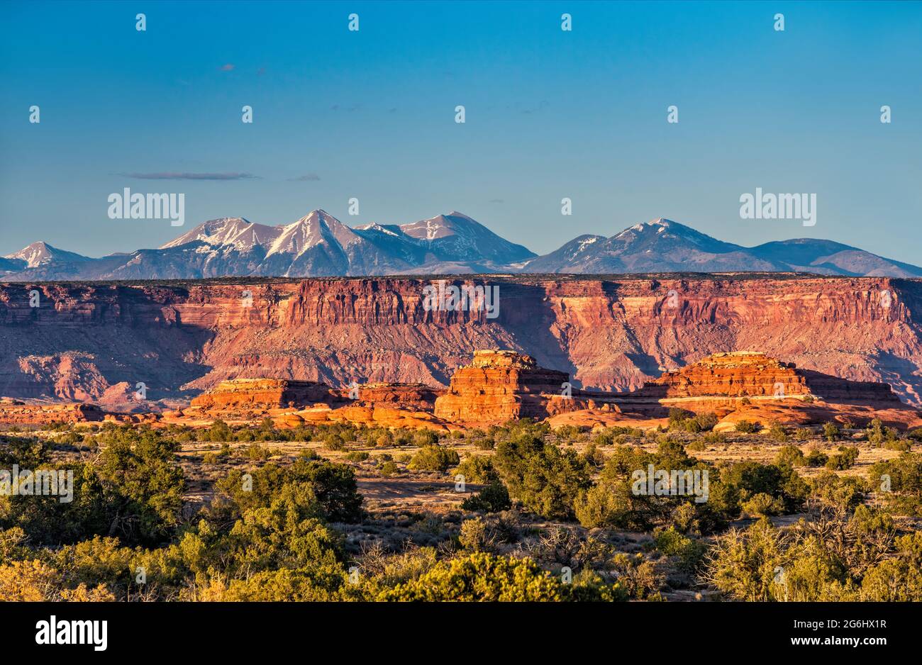 Squaw Flat, Horsehead Rock plateau, La Sal Mountains in dist, view from Spring Canyon Road, sunset, Needles District, Canyonlands Natl Park, Utah, USA Stock Photo