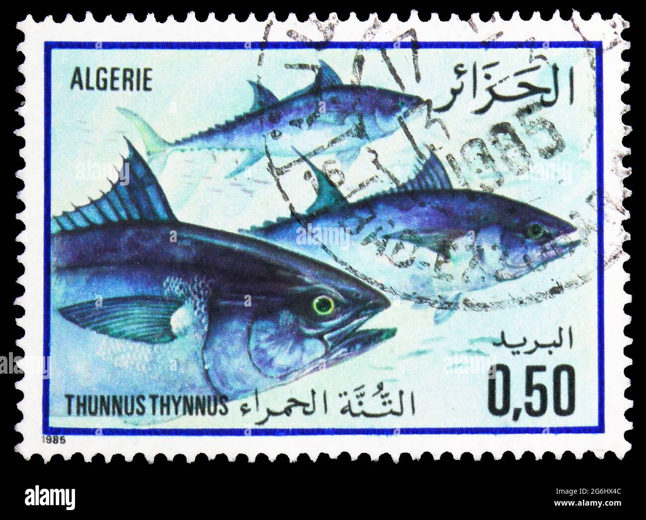 MOSCOW, RUSSIA - APRIL 28, 2020: Postage stamp printed in Algeria shows Atlantic Bluefin Thuna (Thunnus thynnus), Fish serie, circa 1985 Stock Photo