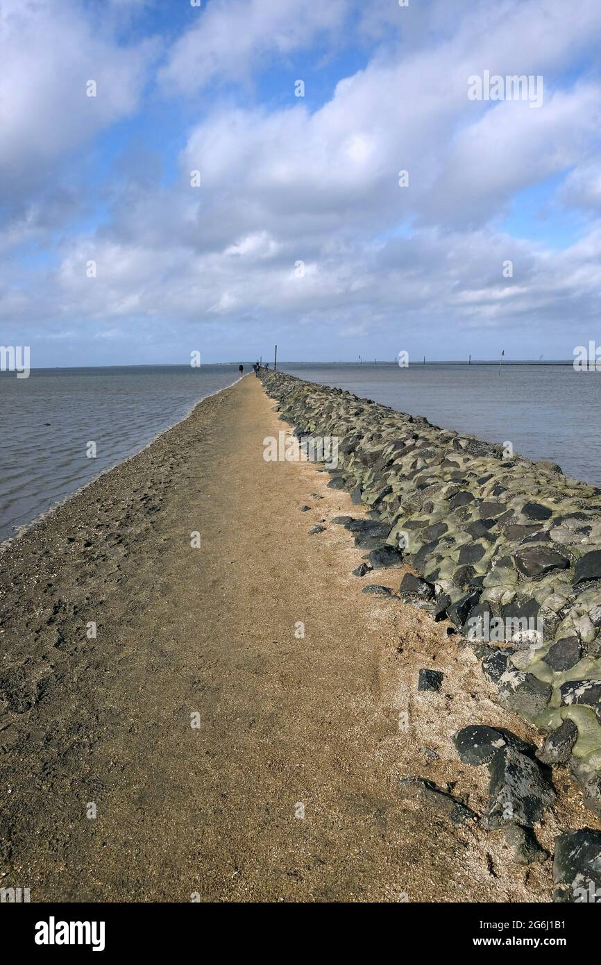 Vertical shot pathway beach hi-res stock photography and images - Alamy