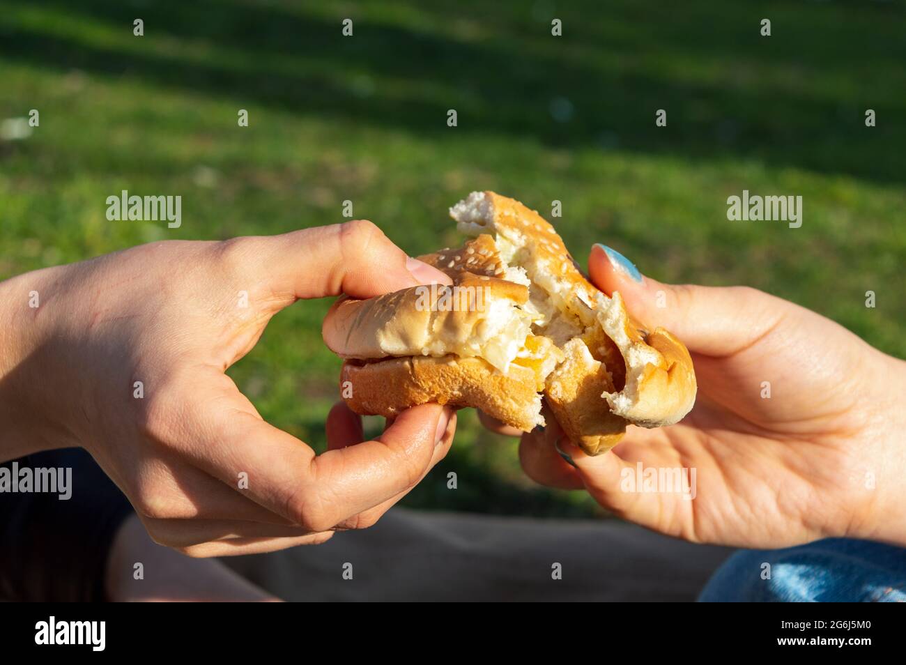 share food.two friends divide a hamburger in half and share.hamburger Stock Photo