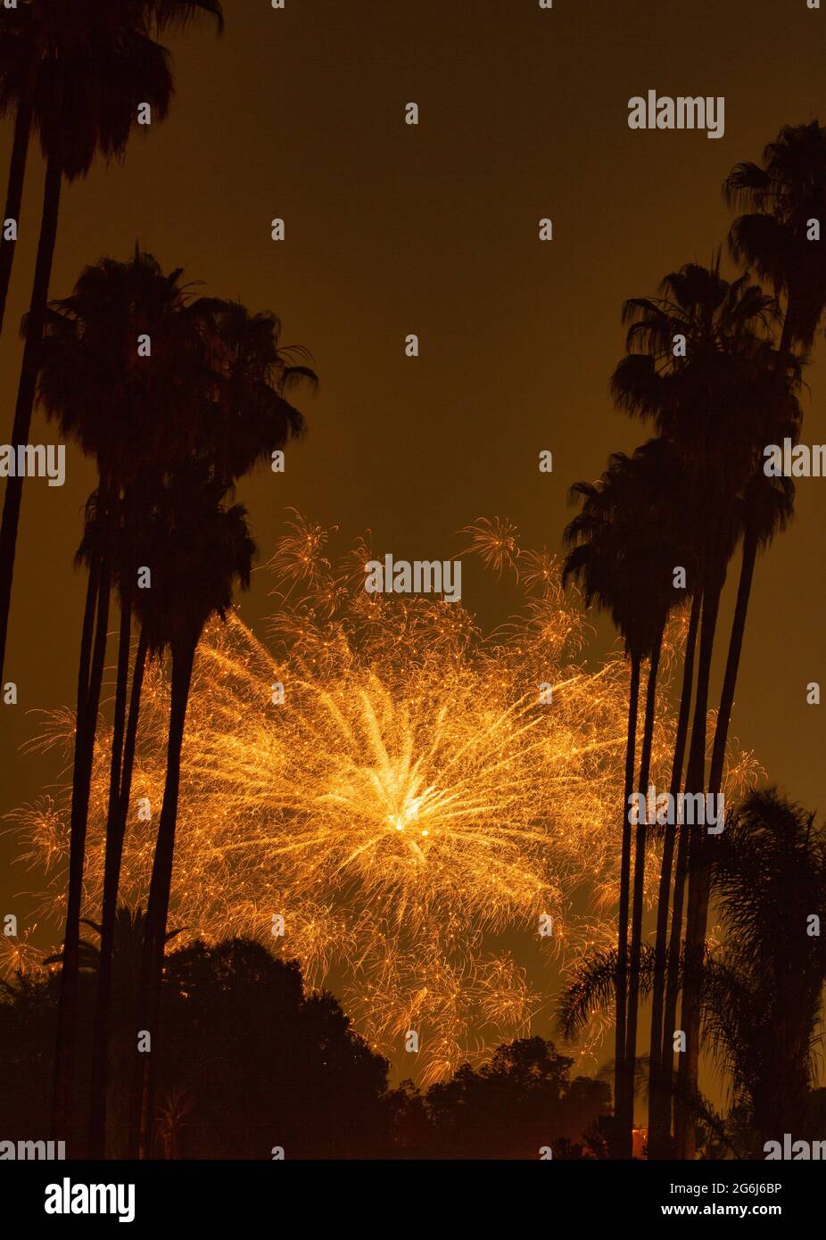 Illegal fireworks framed by palm trees in Highland Park Los Angeles