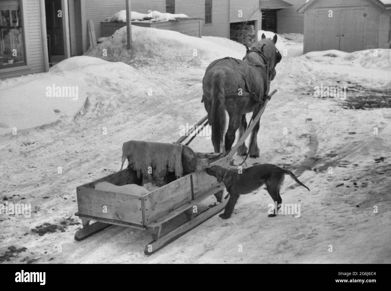Farmer's sled waiting outside the general store in Stowe, Vermont, circa 1940 Stock Photo