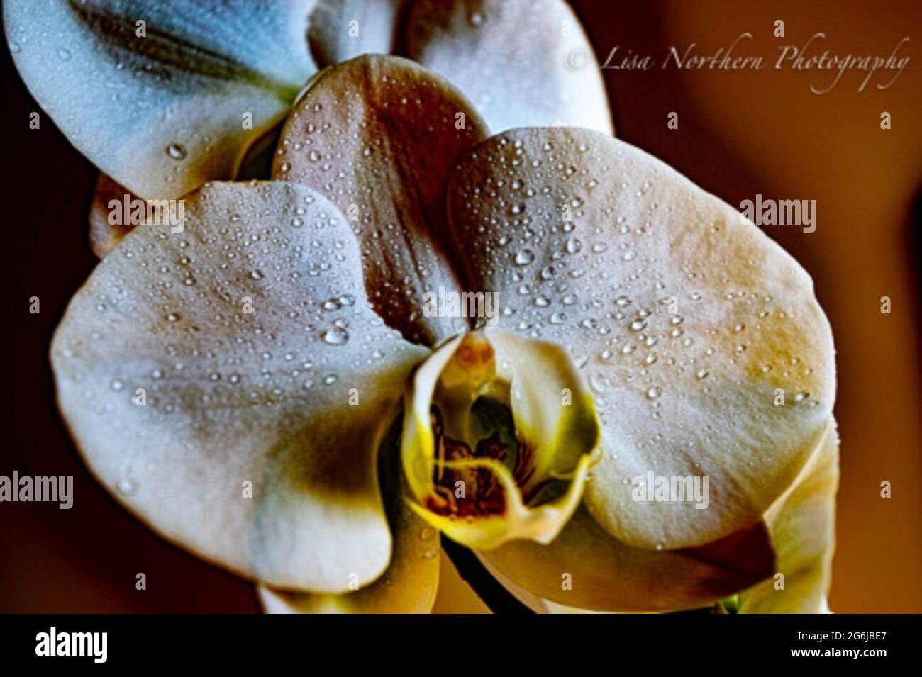 Delicate balance hi-res stock photography and images - Alamy